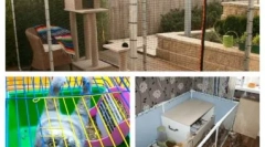 Powietrz kotów w mieszkaniu lub domu wsi: jak wybrać lub zrobić to sam